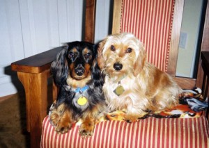 Max and Gus