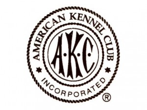 american-kennel-club