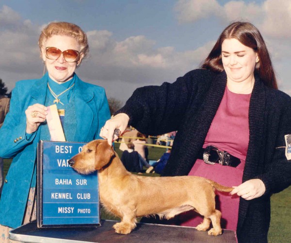 CH VAL-JEAN’S HANKY-PANKY MW "Hank"
