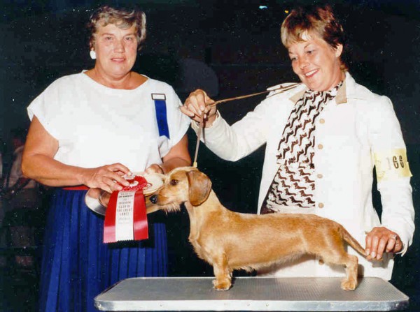 CH VAL-JEAN’S PEG-O-MY-HEART MW "Peggy"