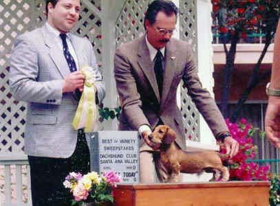 CH VAL-JEAN’S RUFF WIRE M.W. "Ruffy"