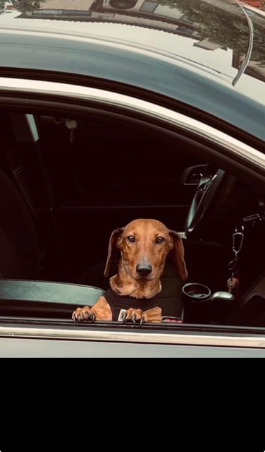 Goojze’s Christmas 2025 14 IMG 4516