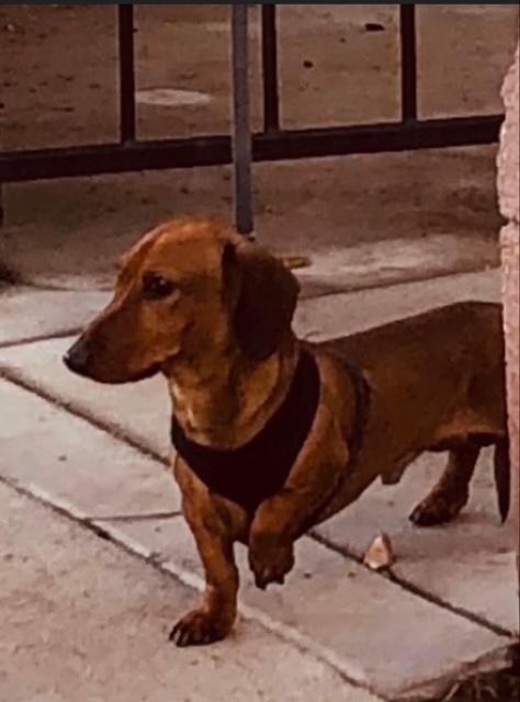 Goojze’s Christmas 2025 15 IMG 4517