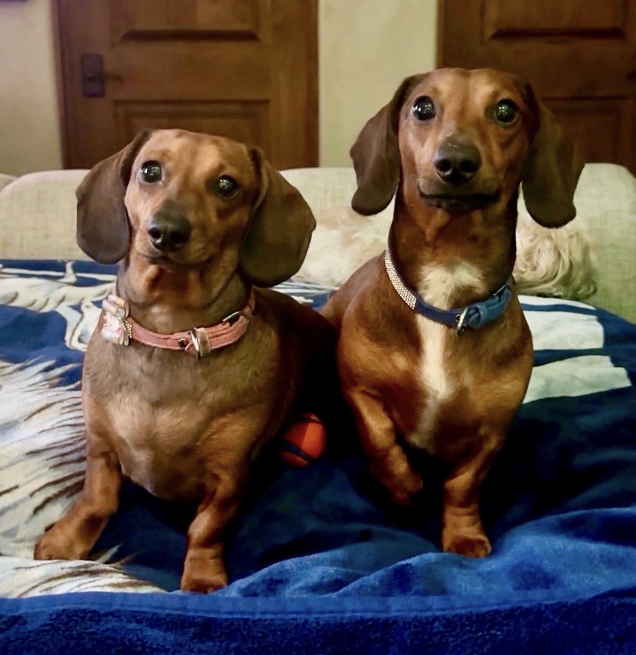 Archy and Mady 26 image0