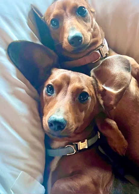 Archy and Mady 27 image1