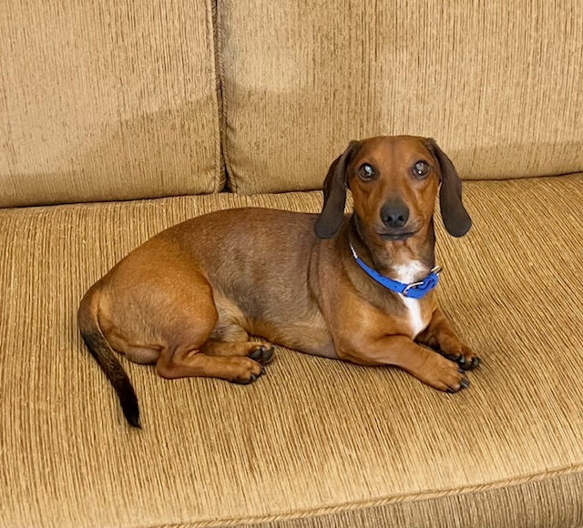 Archy and Mady 31 image5